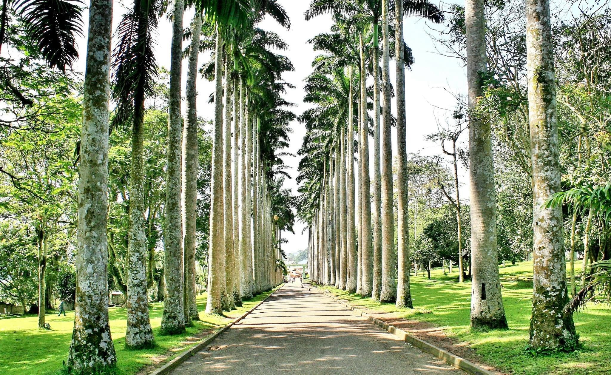 Aburi Botanical Gardens, Eastern Region