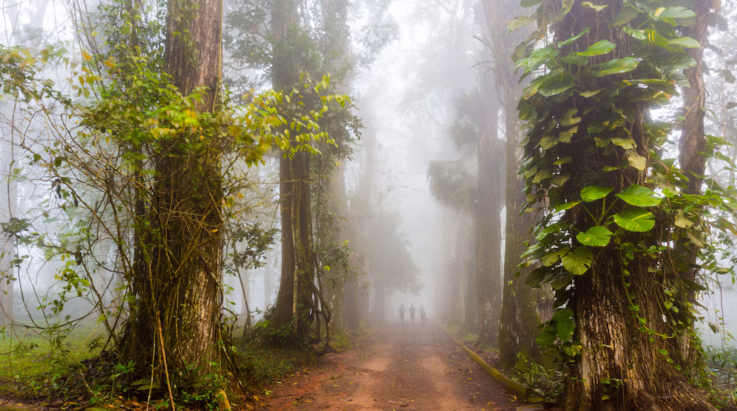 Forested Aburi hills, Eastern Region