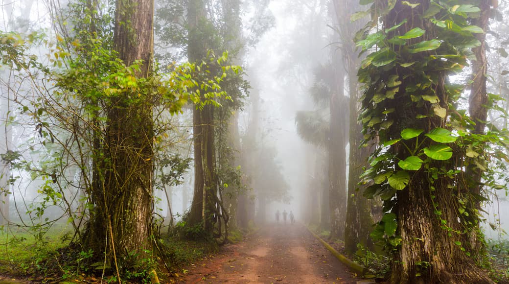 Forested Aburi hills, Eastern Region