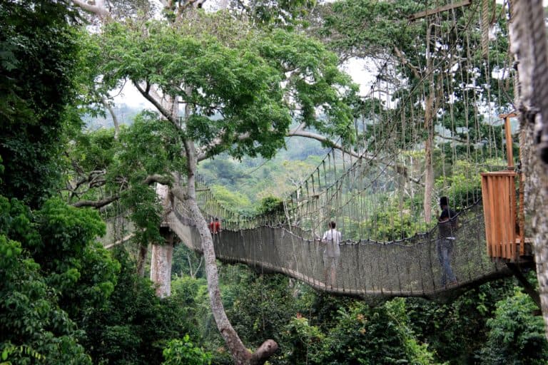 Visitors crossing Kakum National Park’s canopy walkway in Ghana