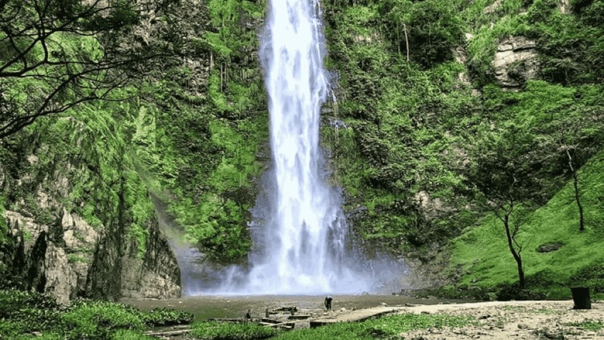 Wli Waterfalls in the Volta Region